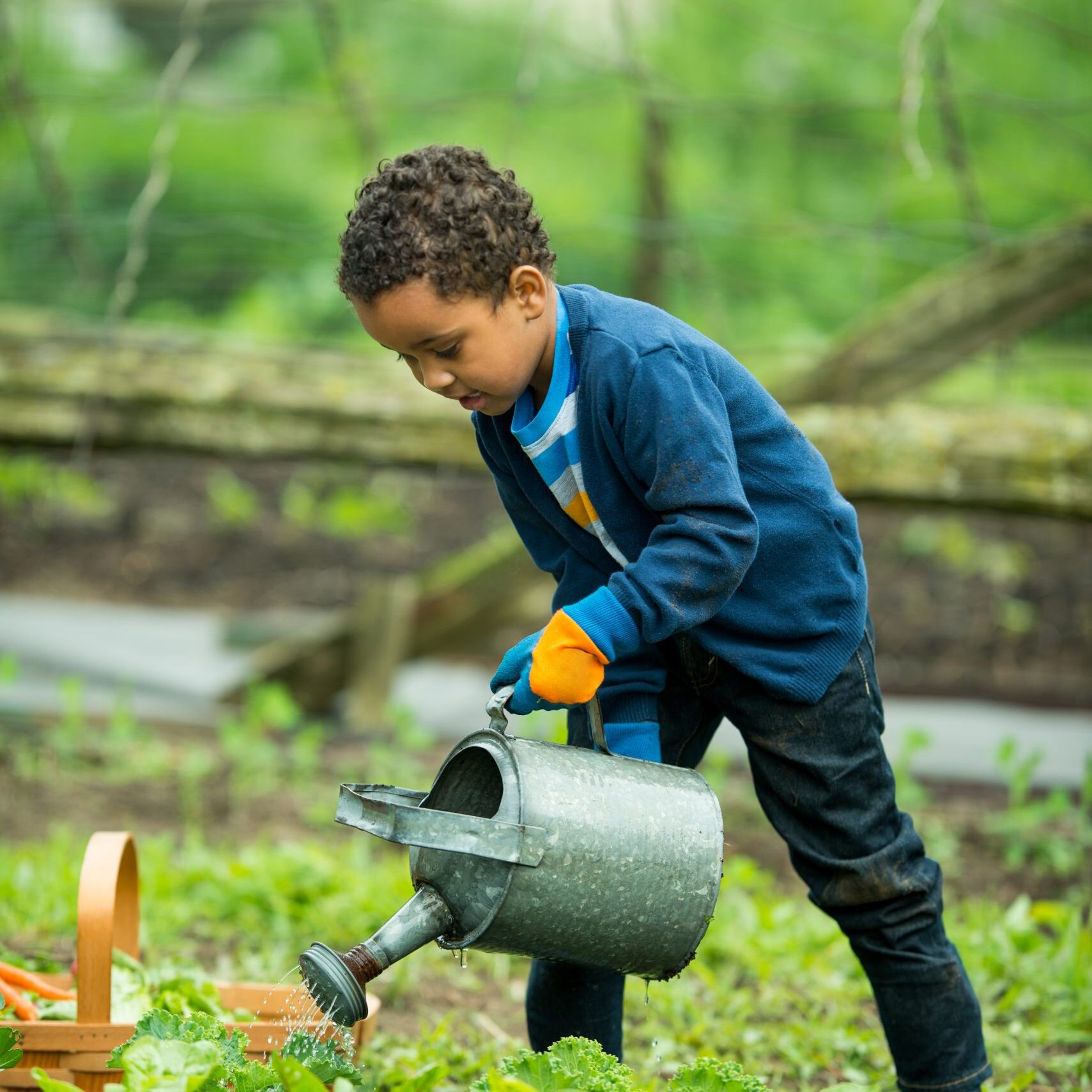 Cute little boy helping water the garden